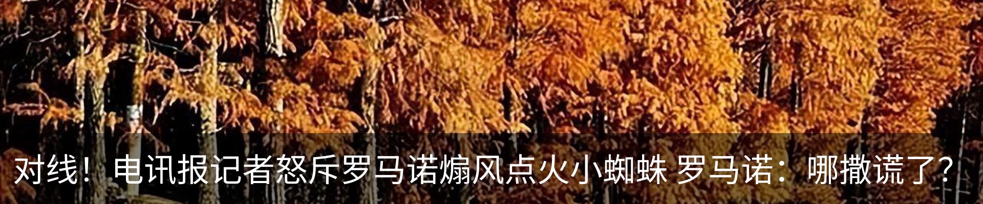 资讯动态